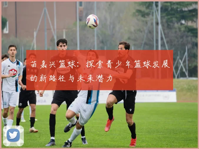 苗嘉兴篮球：探索青少年篮球发展的新路径与未来潜力