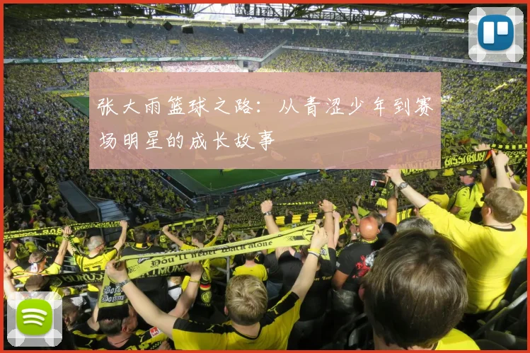 张大雨篮球之路：从青涩少年到赛场明星的成长故事