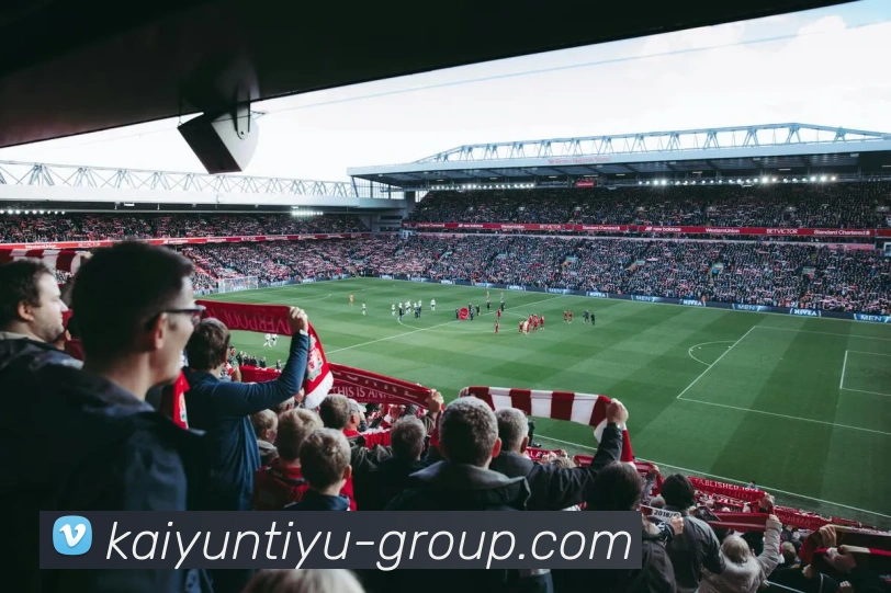 开云平台首页APP 封面图